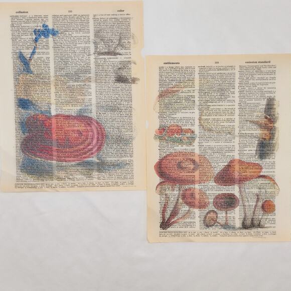 Mushroom Dictionary Prints 2, Colorful Mushroom Prints, Book Page Prints - Picture 6 of 6